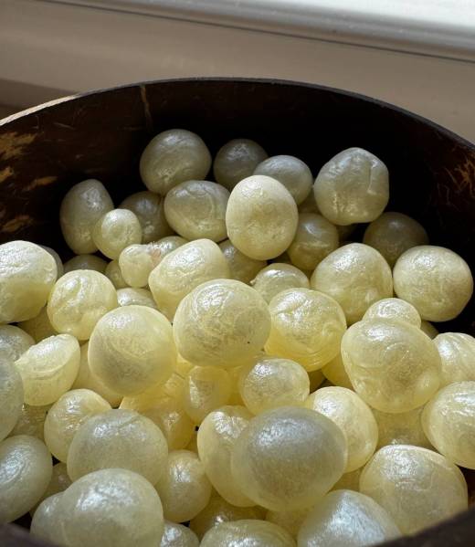 Świeca z pereł w kokosie Świeca z pereł w kokosie